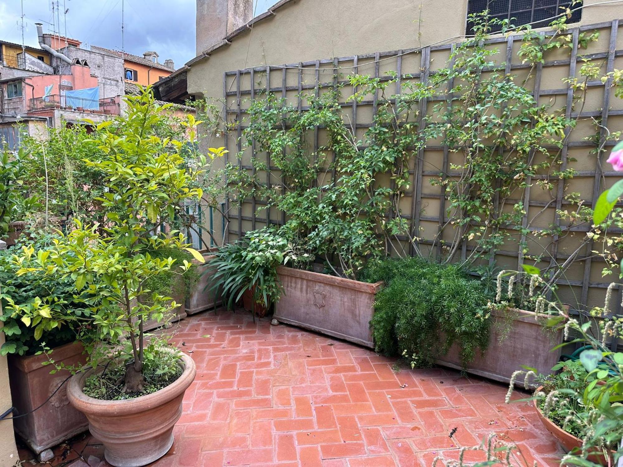 Terrazza Minerva, Rome